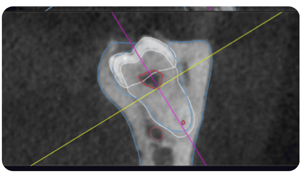 Screenshot 2025-06-11 at 13.52.49