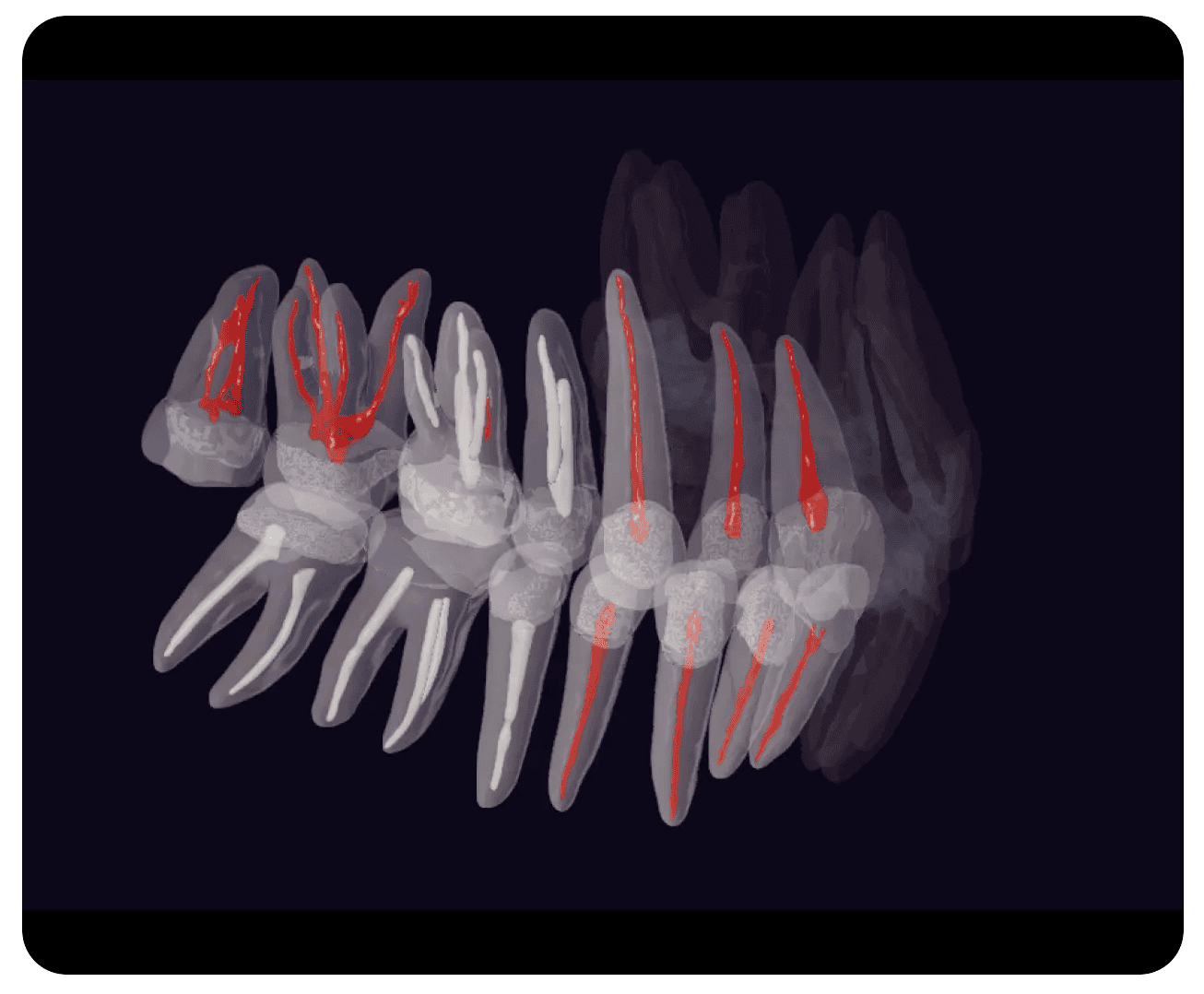 Screenshot 2025-06-11 at 16.45.19